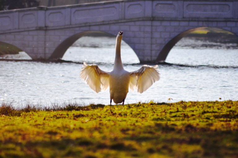 The Crystal Grotto, Painshill Park, Kingston