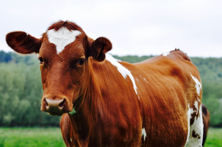 Marlow - Buckinghamshire, UK