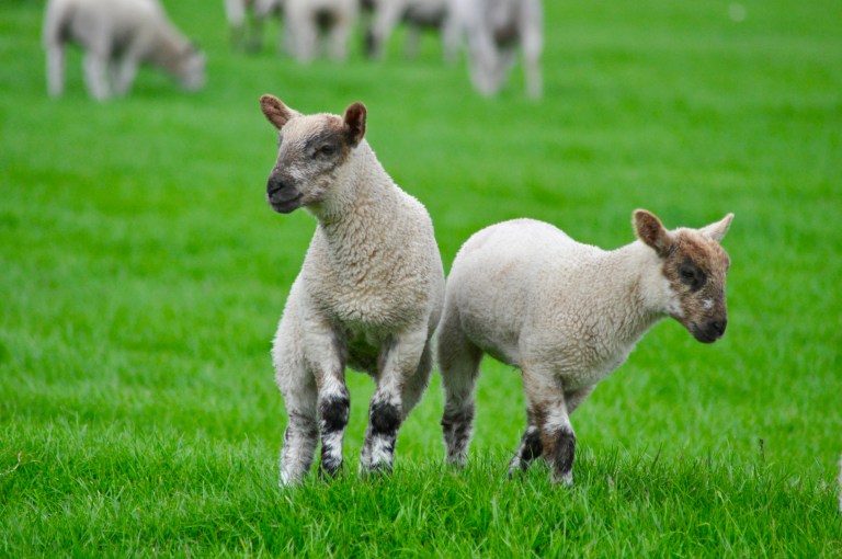 Marlow - Buckinghamshire, UK