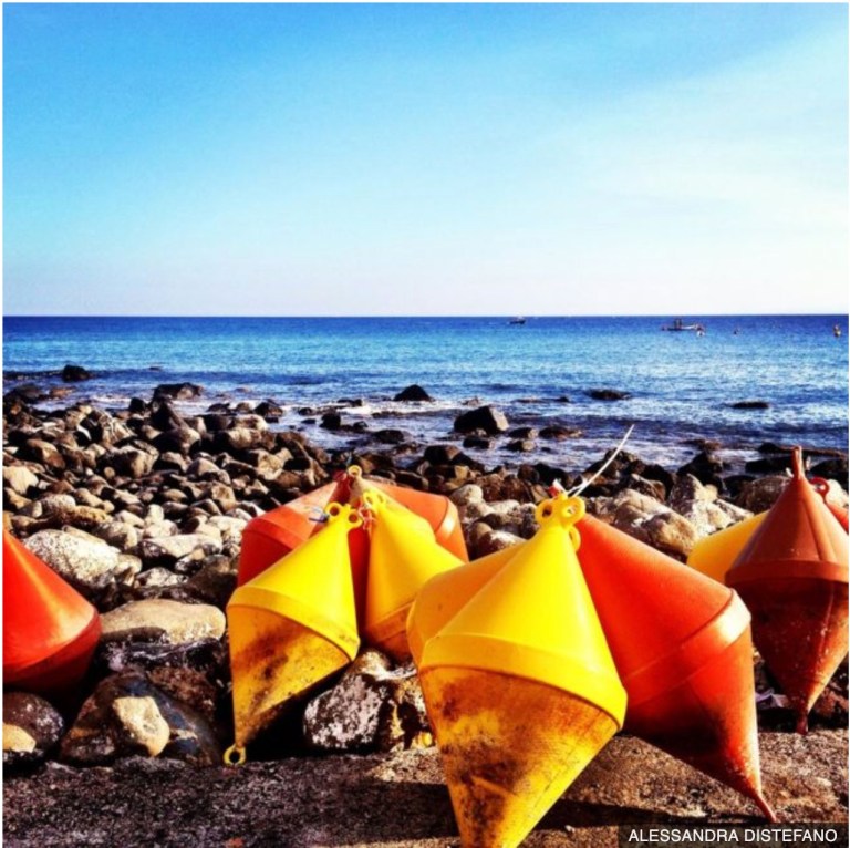 Plastic - BBC in Pictures 16 June 2019