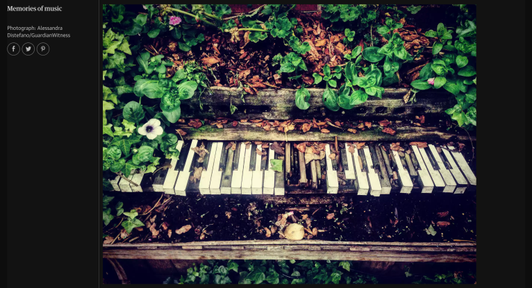 Screen Shot 2018-01-24 at 9.47.33 AM